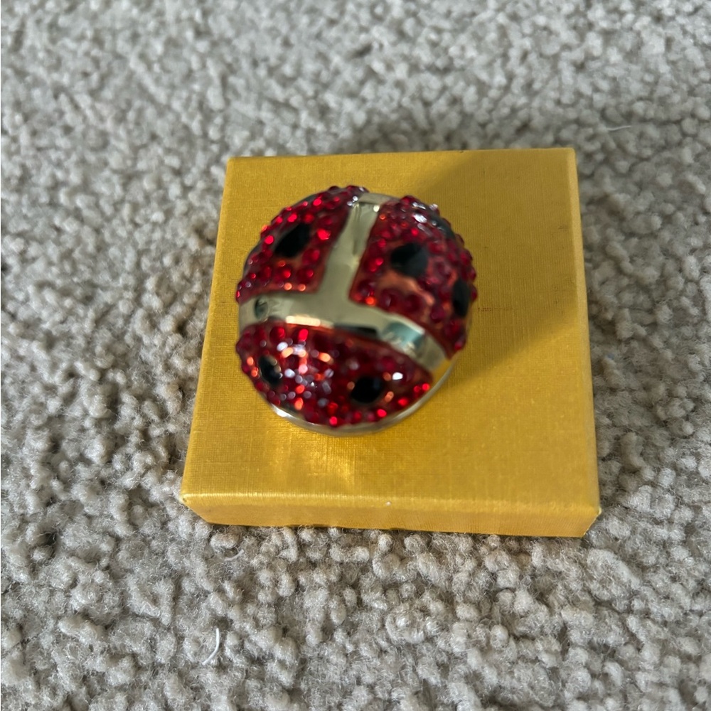 Ladybug Jewelry Holder